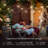 Pro 12-Light 27 ft. Outdoor Solar LED 1-Watt White Bulb String Lights-1469578896