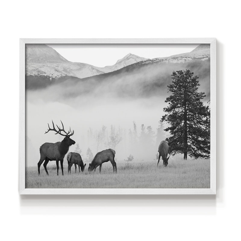 Élan des montagnes - reproduction encadrée - réarmable, H 8 po x l 10 po, Blanc