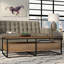 Paulette Solid Wood Frame Coffee Table with Storage
