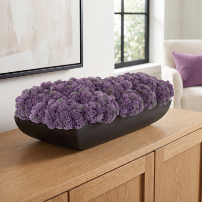 Sedum Arrangement in Fiberstone Planter