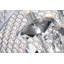 Lustre tambour 6 lumières Ivonna-1898478692