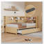 Lit de jour simple en bois avec tablettes de rangement, USB et lit gigogne-1823140014