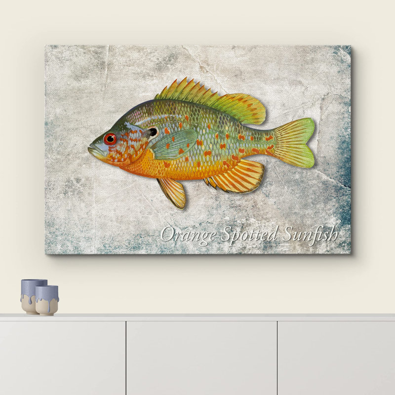 Crapaud orange sur fond de granit, vie marine, réalisme nautique, ultra sur toile, H 24 po x l 36 po x P 1,5 po, Toile tendue