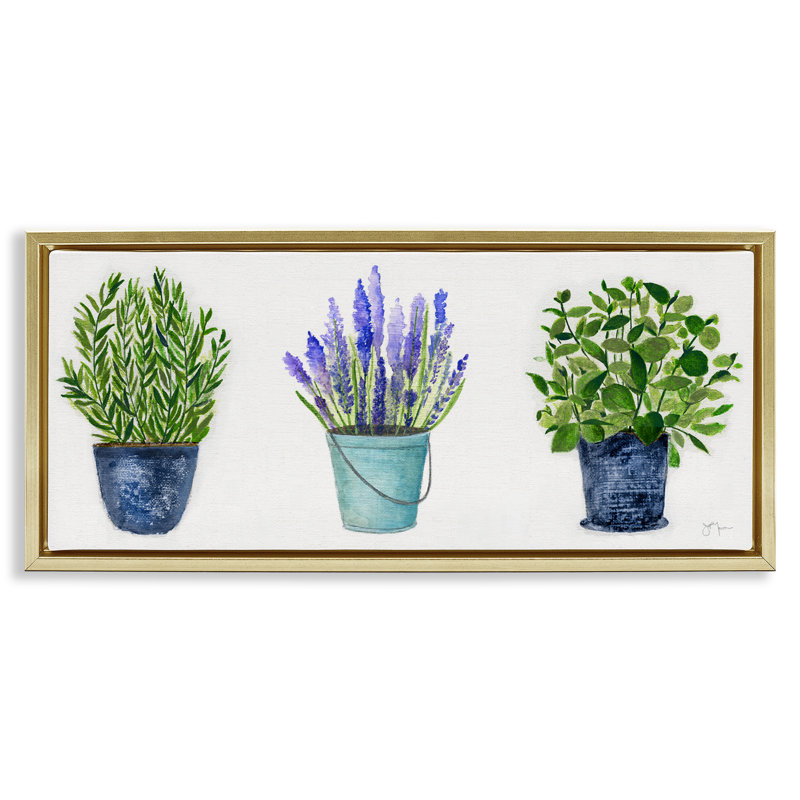 Plantes et herbes variées en pot, H 11 po x l 25 po, Cadre flottant métallique doré