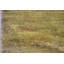 Jute / Sisal Area Rug in Brown