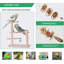 10,2 oiseaux