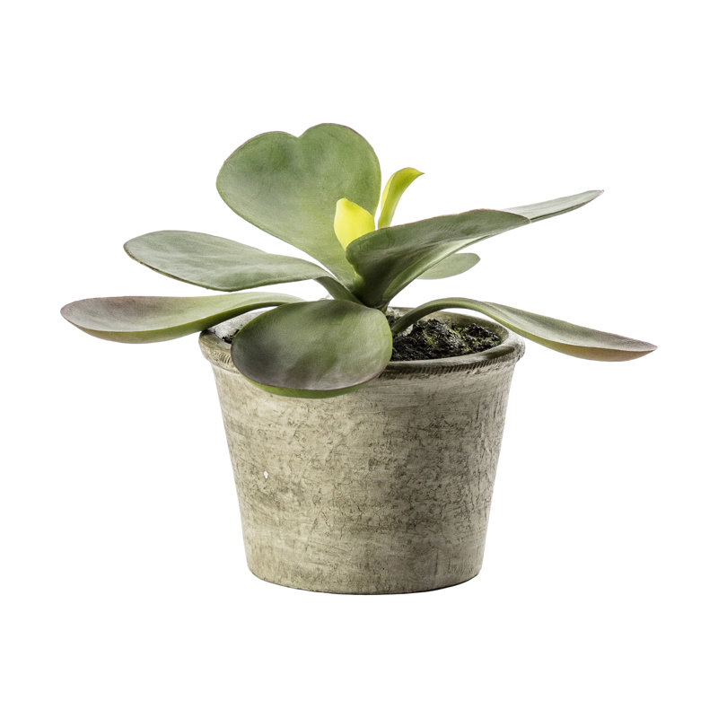 15cm Faux Kalanchoe Pale Succulent in Pot