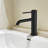 Bathroom Faucet-117496324