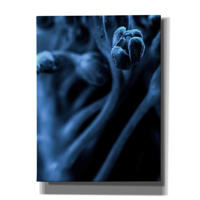 Euria Leaf VIII par Incado - reproduction d'art sur toile tendue