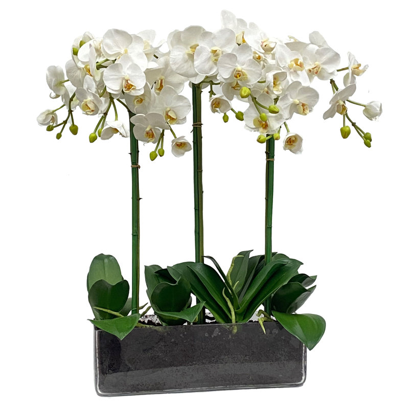 Faux Silk Orchid Arrangement in Vase