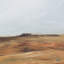 Wheat Field Print by Shaina Page-1799985810