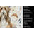 Brown Bearded Collie Coffee Bar Kitchen Towel-1168062992
