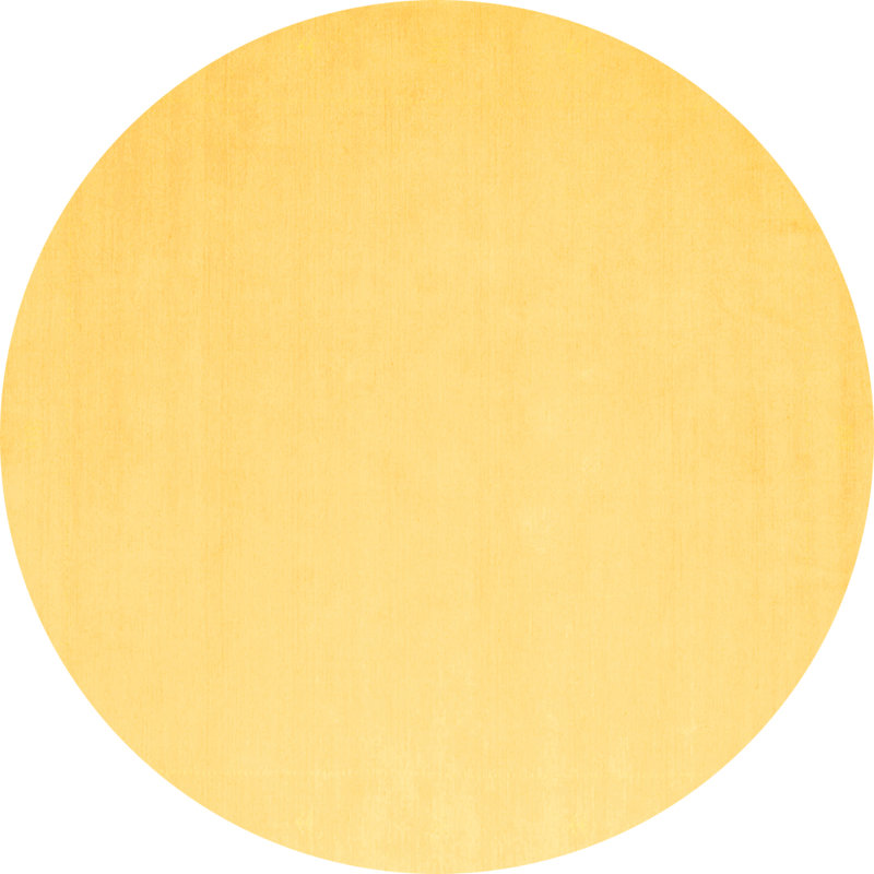 Performance Indoor Rug, Round 4'
