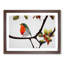 Captivating Robin Bird - Single Picture Frame Print-1306595487-1306595484