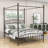 Ebrahima Metal Canopy Bed with Headboard-1976858343-1976858340