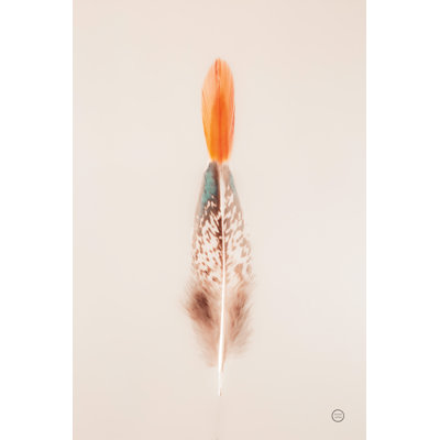 " Floating Feathers I "