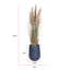 72,08 po Faux pampa en pot-1712796220