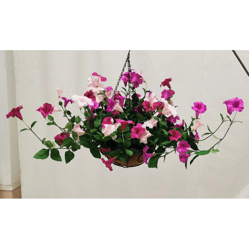 Hanging Basket Arrangement in Basket