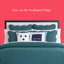 kate spade new york Scalloped Edge Full/Queen Quilt Bedding Set, All Season 3-Piece Set, Navy-1650042120-1650042125