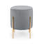 Accringt Stainless Steel Accent Stool-1787988154