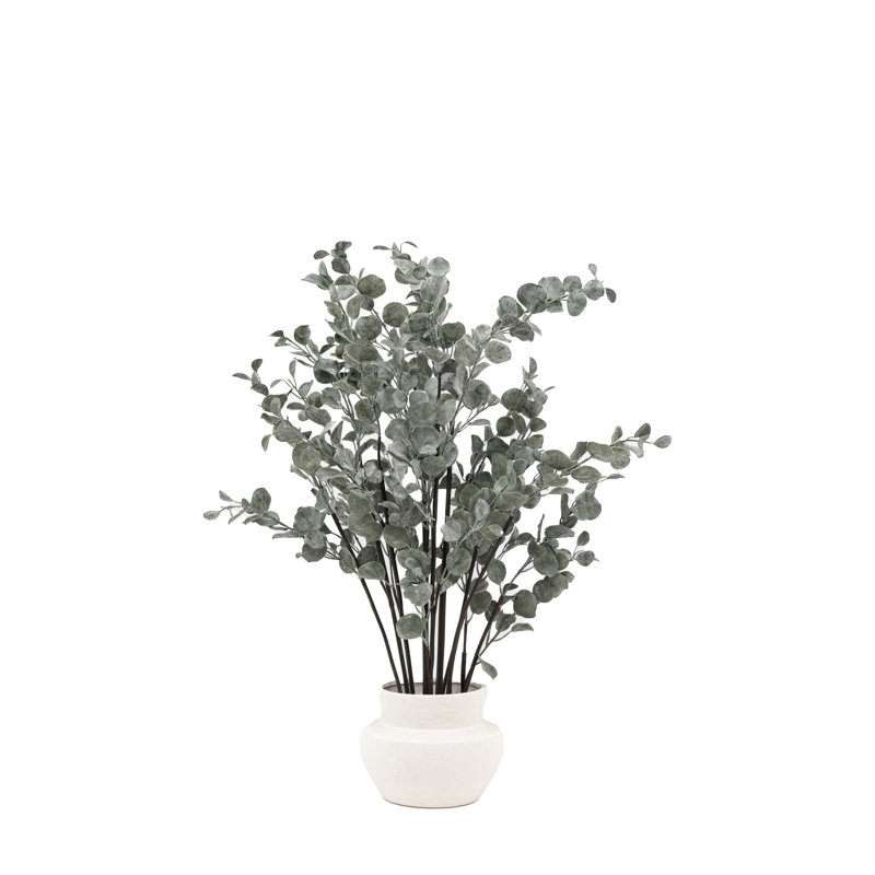 Arrangement