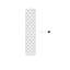 Prisma 48" Column Floor Lamp