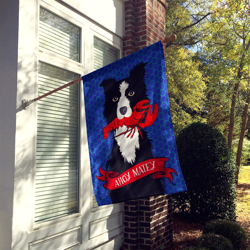 Double Sided 40'' H x 28'' W Polyester Animal House Flag