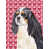 Épagneul cavalier King Charles 2 sélectionné