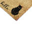 Non-Slip Indoor Doormat