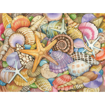 " Shells Of The Sea " by Kathleen Parr McKenna
