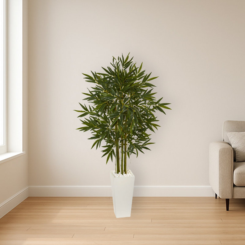 Bamboo Tree in White Tower Planter