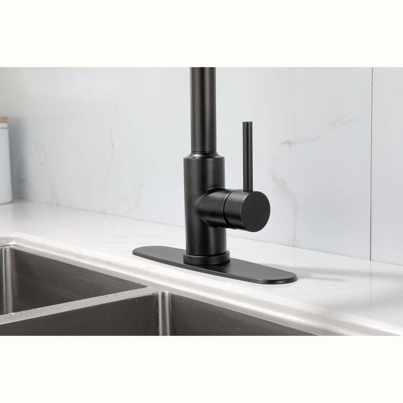 Robinets de cuisine, Noir mat