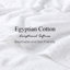Oleg Egyptian-Quality Cotton Highly Absorbent Medium Weight Hand Towel Set-22181825