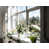Pewter selected