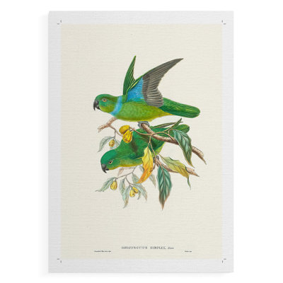 Lime&CeruleanParrotsII -Canvas Print Only - NOT FRAMED