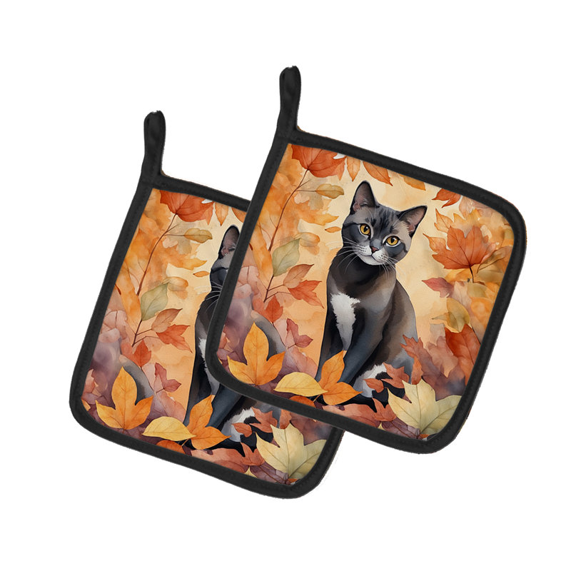 Chat asiatique dans une paire de porte-casseroles à feuilles d'automne