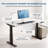 Rise Up 3-stage Dual Motor Electric Standing Desk Frame -2054301483