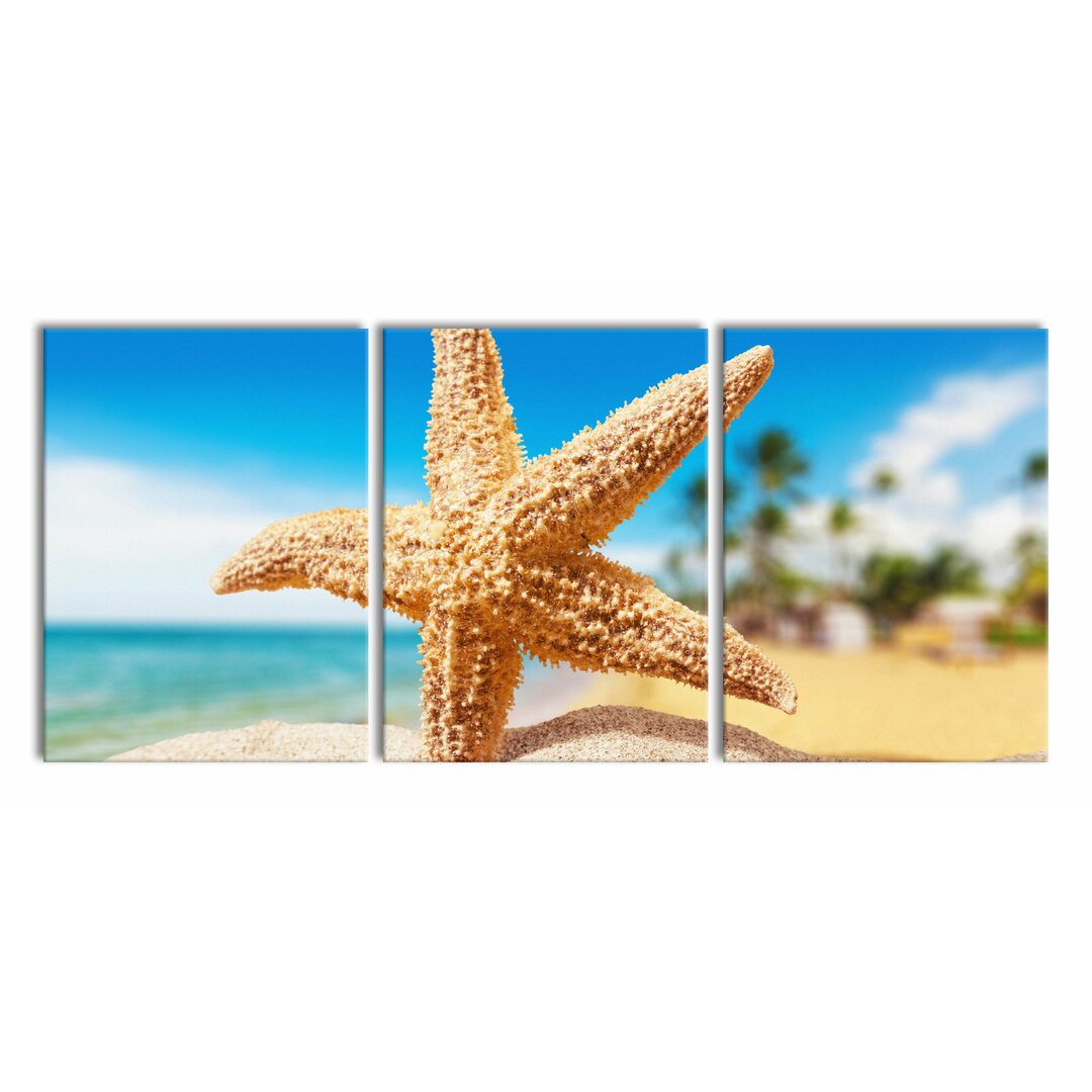 3-tlg. Leinwandbilder-Set Starfish Palm Beach