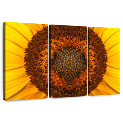 Harnek Magnified Sunflower Center