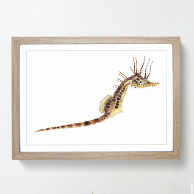 Illustration of a Seahorse by F.E. Clarke - Picture Frame Painting Print