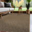 Tapis intérieur / extérieur-667121307