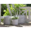 Amorsolo Pot Planter-1333281106-1333281133