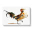 A Rooster by Johan Teyler - Wrapped Canvas-55368416