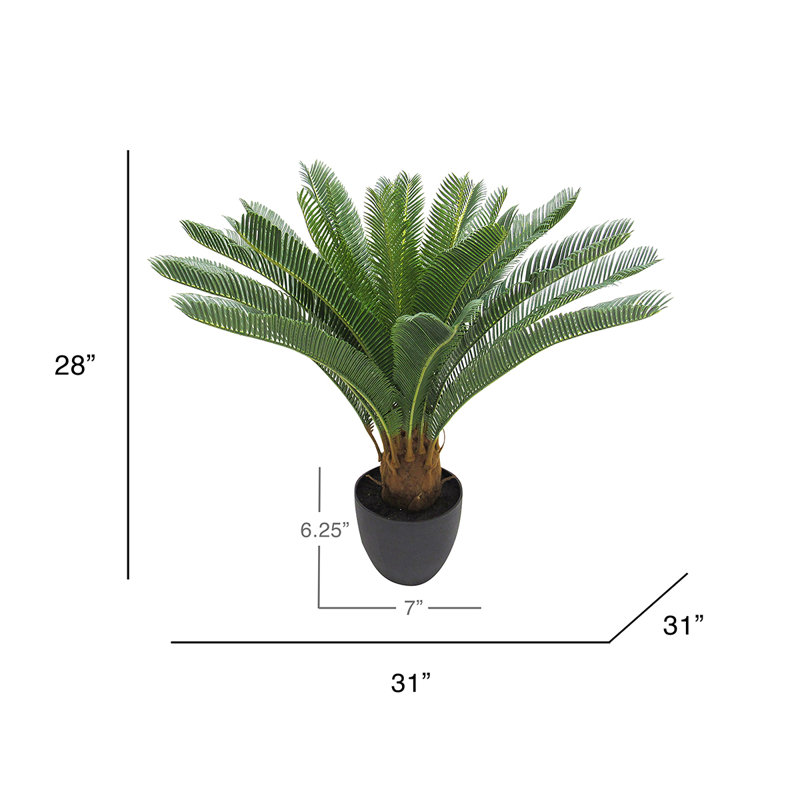 The Cycas In A White Cylinder Pot #Artificial