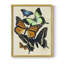 «Collage Butterflies I», reproduction encadrée - bois massif-838396371