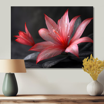 Pink Monochrome Hibiscus Frozen Moment II - Hibiscus Wall Decor