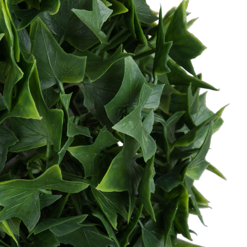 Ensemble 4 pièces de ivy pour plante à mini boule