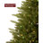 Lighted Christmas Tree-105741576-105005629