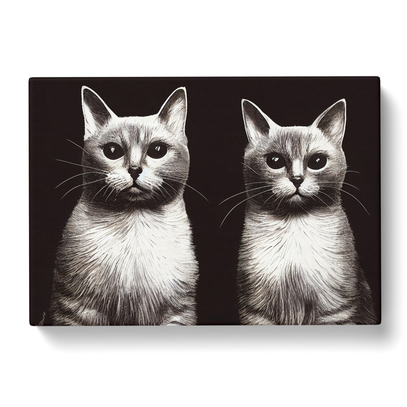 Two Cats Vol.2 - Wrapped Canvas, 35cm H x 50cm W x 3cm D