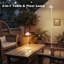 16 po Lampe de table Mid-Century Modern-1191536377-1191536383-1179416313